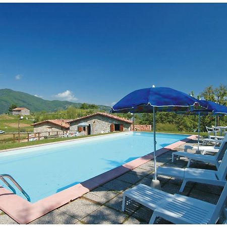 Agriturismo Summer Gallicano Exterior photo