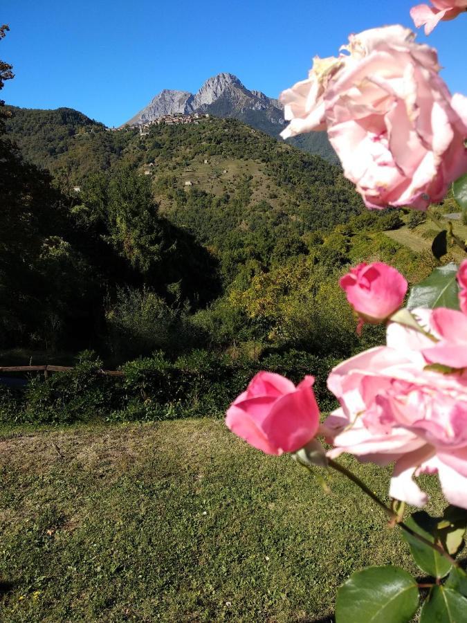 Agriturismo Summer Gallicano Exterior photo
