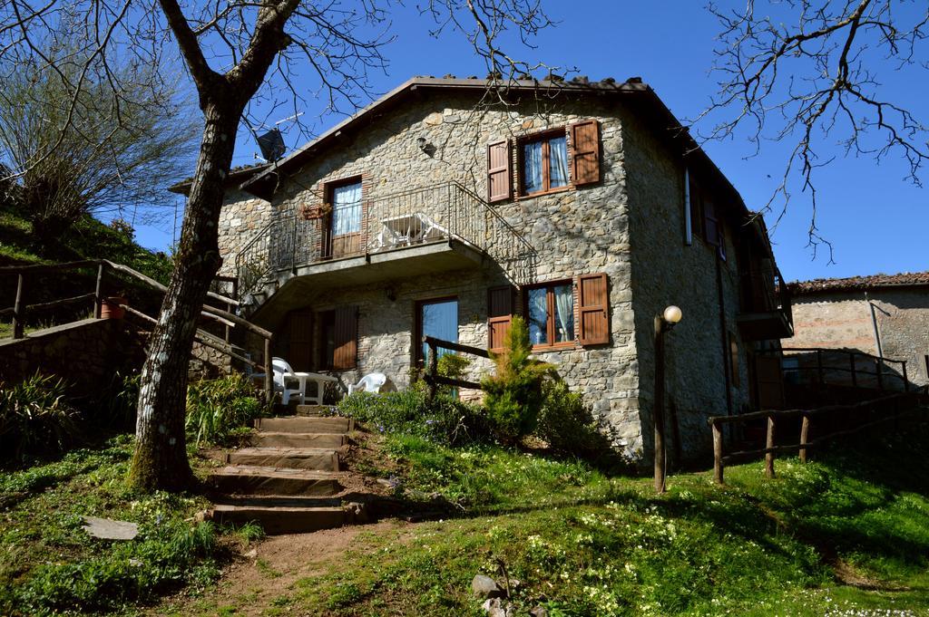 Agriturismo Summer Gallicano Room photo