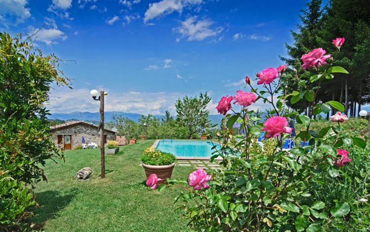 Agriturismo Summer Gallicano Exterior photo
